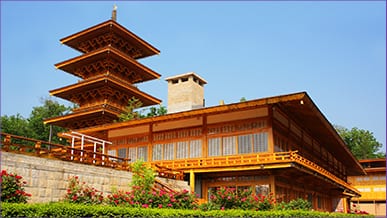 Shen Yun 20 Years Anniversary Link Image